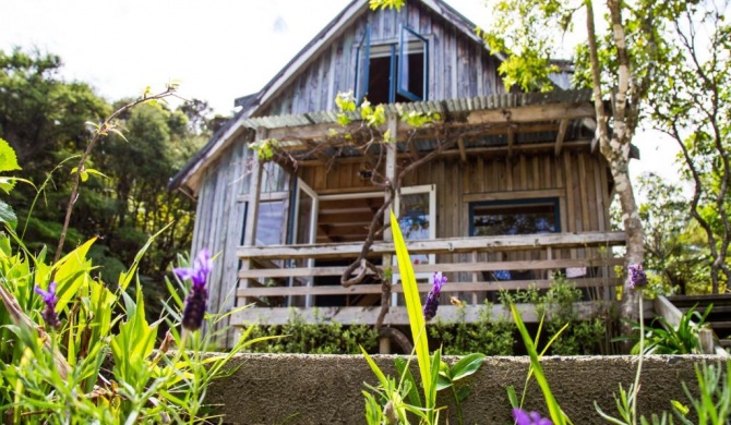 Fern Lodge Coromandel