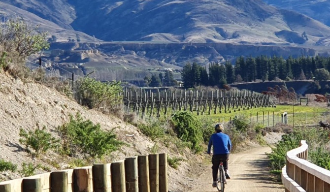 Vines on Bannockburn