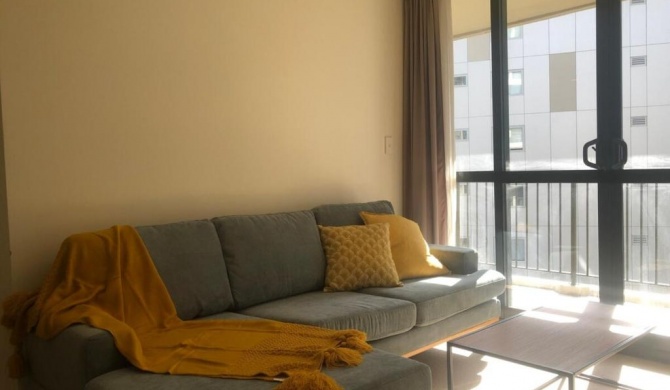 Cute 2 Bed Apt Heart of K Rd Rooftop Terrace