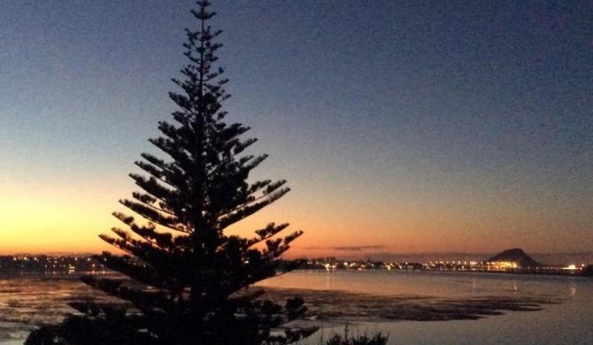 Tauranga Harbour Views