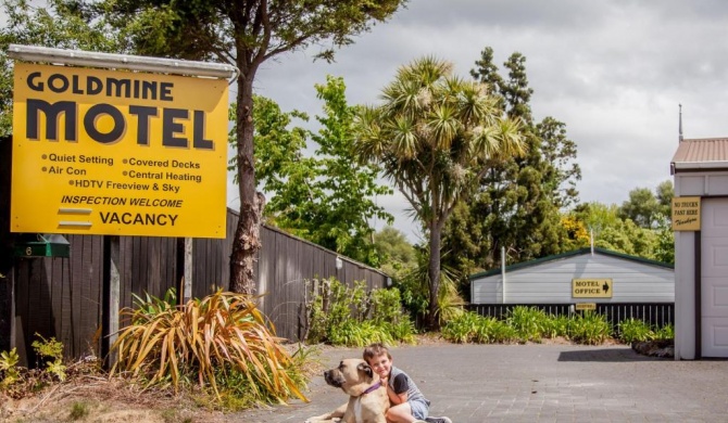 Goldmine Motel