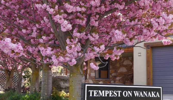 Tempest on Wanaka