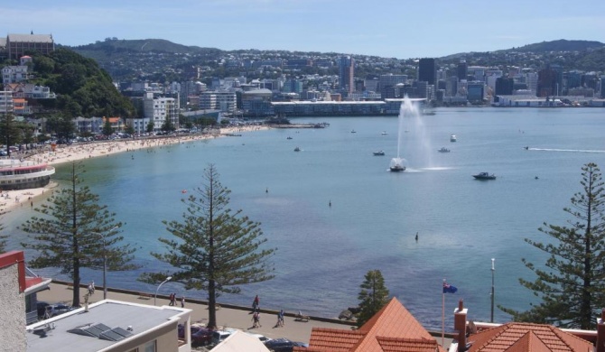 Oriental Bay At Its Best