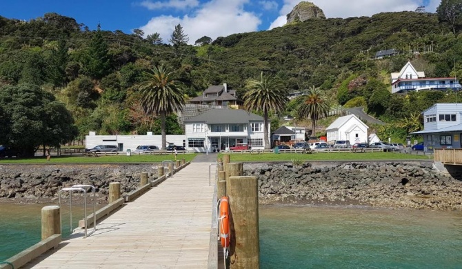 The Marlin of Whangaroa